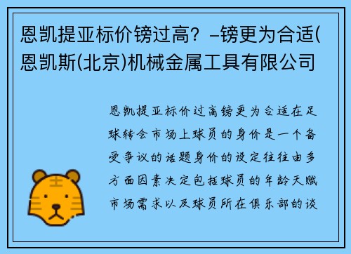 恩凯提亚标价镑过高？-镑更为合适(恩凯斯(北京)机械金属工具有限公司)