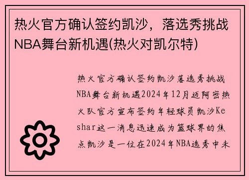 热火官方确认签约凯沙，落选秀挑战NBA舞台新机遇(热火对凯尔特)