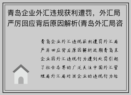 青岛企业外汇违规获利遭罚，外汇局严厉回应背后原因解析(青岛外汇局咨询电话)
