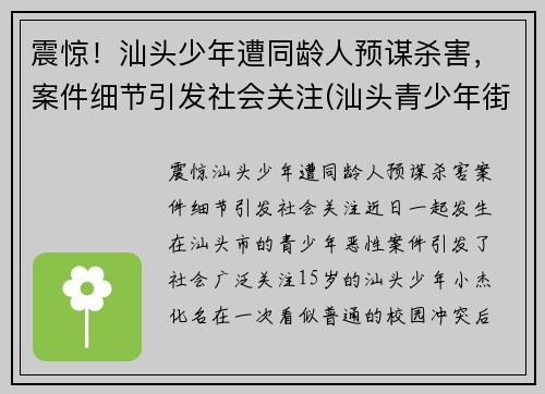 震惊！汕头少年遭同龄人预谋杀害，案件细节引发社会关注(汕头青少年街头斗殴视频)